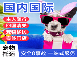 江北机场邮寄国际宠物托运 【国